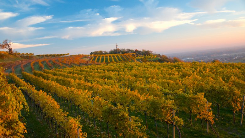 Herbstwandern am Parapluiberg, © Walter Pernikl