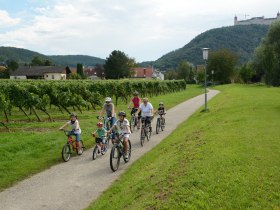 Radeln an der Fladnitztal-Radroute, © Geitzenauer