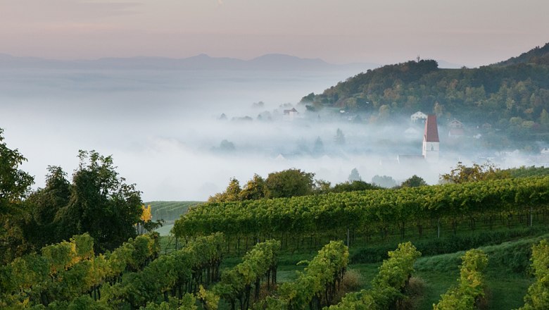 Blick aufs herbstliche Traisental, © schwarz-koenig.at