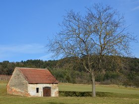 Ried, © Walter Pernikl