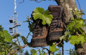 Korkenzieher Traismauer, © Donau Niederösterreich - Kamptal-Wagram-Tullner Donauraum