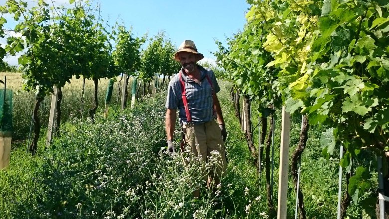 Weingut Siegfried Resch, © Siegfried Resch