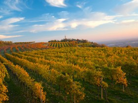 Herbstwandern am Parapluiberg, © Walter Pernikl