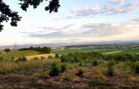 Aussicht von der Heimkehrerkapelle, © christbaumerlebniswald.at