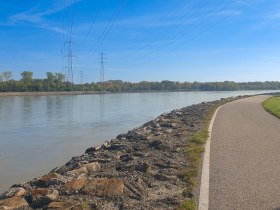 Donauradweg in Altenwörth, © Donau Niederösterreich - Kamptal-Wagram-Tullner Donauraum