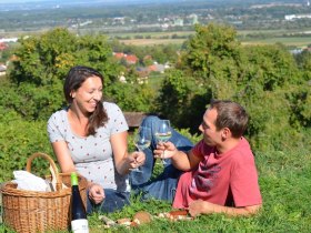 Picknick in der Wiese, © Walter Pernikl