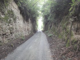 Seelackenbergweg, © Anton Hollaus