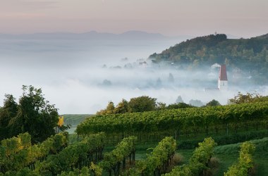 Blick aufs herbstliche Traisental, © schwarz-koenig.at