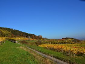 Auch im Herbst bietet sich die Wanderung an, © Walter Pernikl