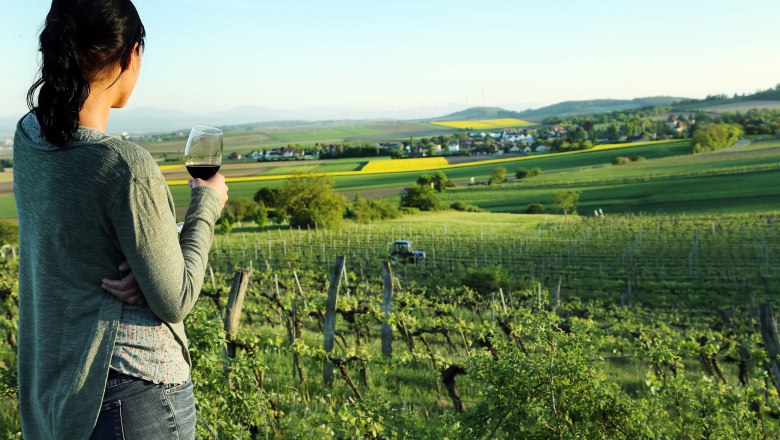 Blick ins Weinland Traisental, © weinfranz.at