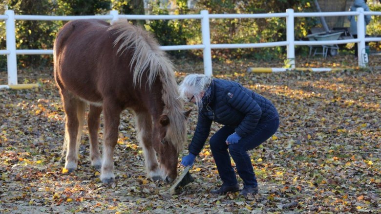 Disco Cavallo, © Disco Cavallo