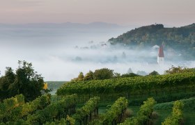 Blick aufs herbstliche Traisental, © schwarz-koenig.at